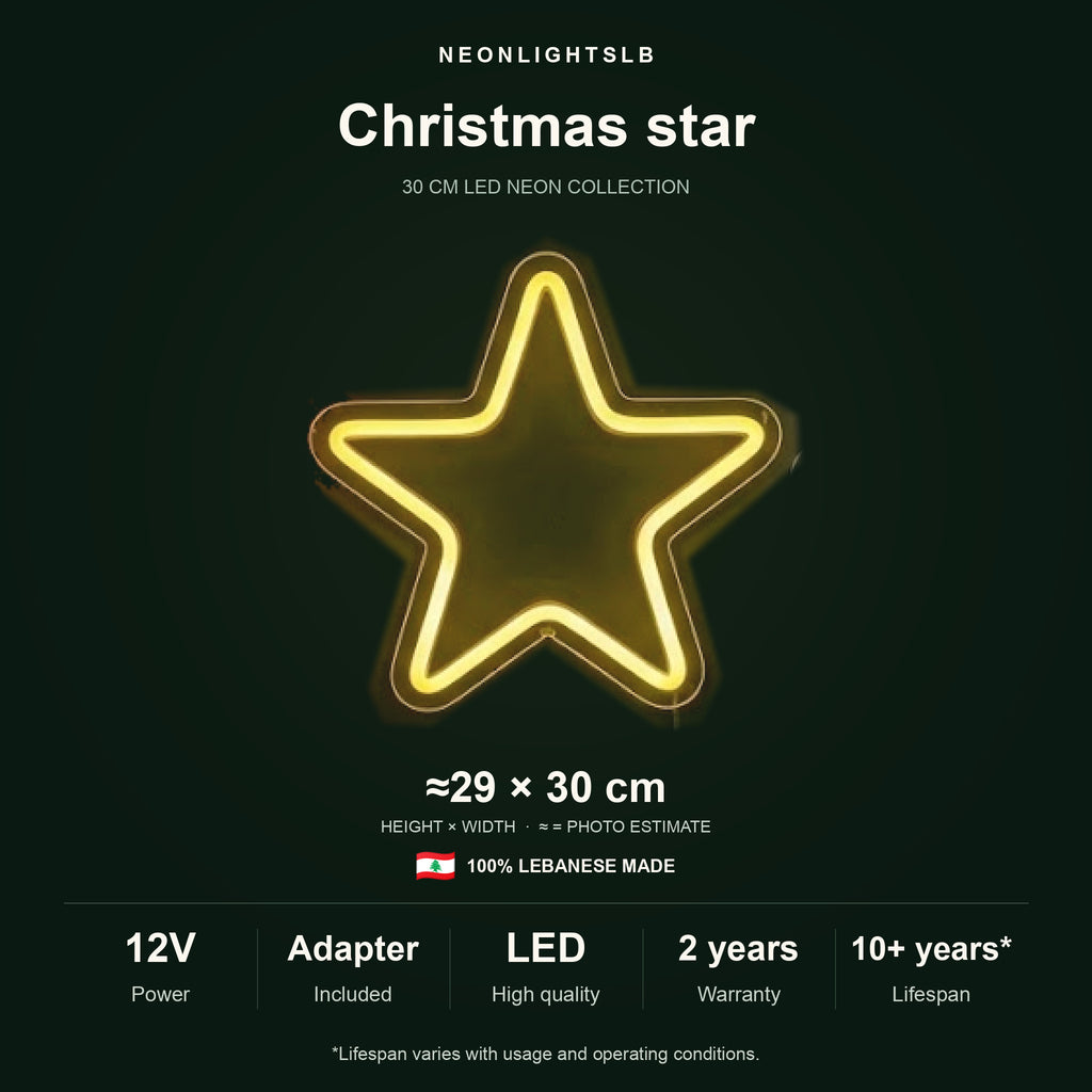 Christmas Star Neon Sign
