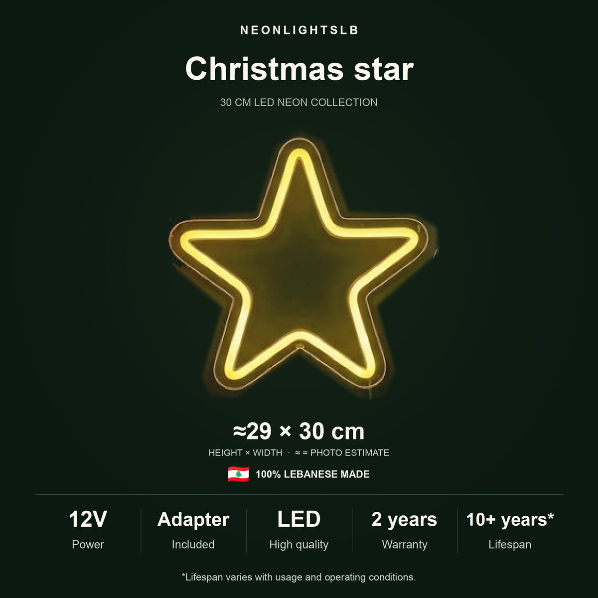 Christmas Star Neon Sign